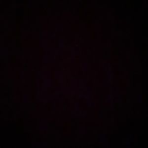 Meet your Posher, Maggie